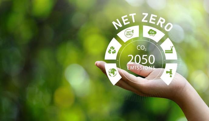 Net Zero Net Zero